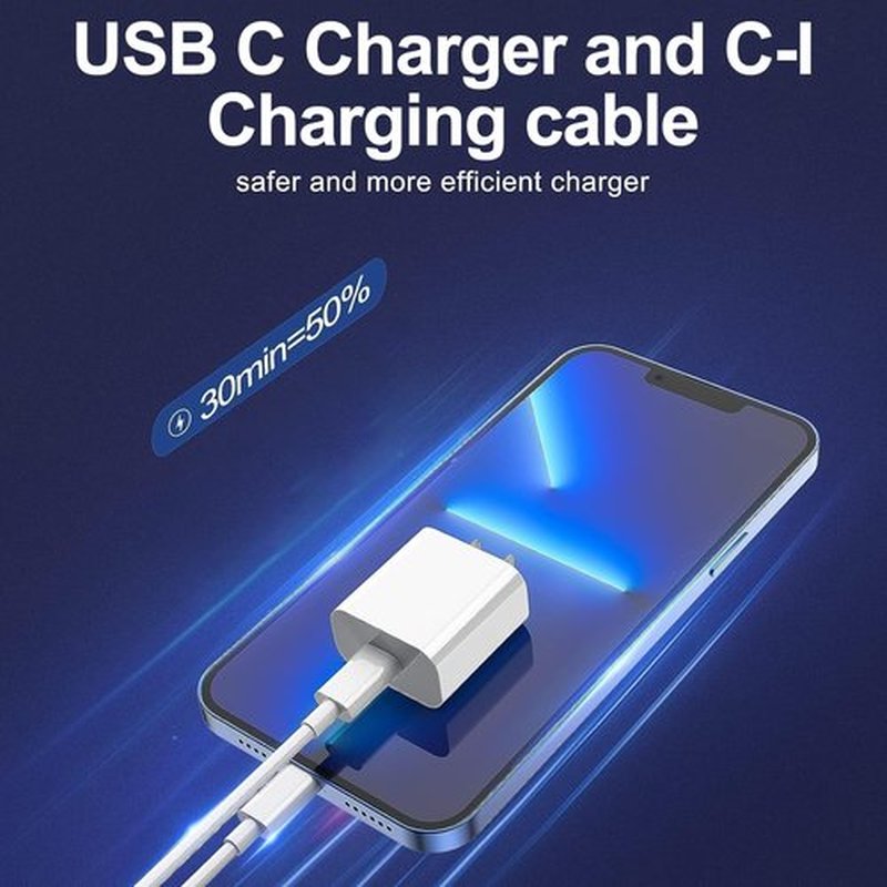 **Skiennix iPhone Charger - Fast Charging 2-Pack Type C Wall Block with 6FT & 10FT USB C to Lightning Cables**