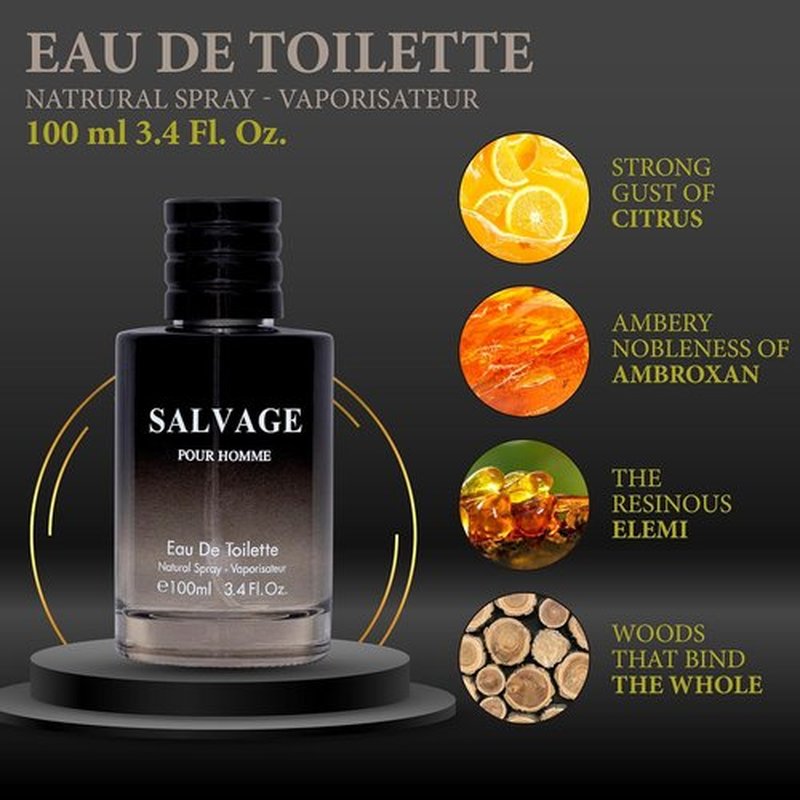 Salvage for Men Eau De Toilette Spray - Refreshing & Warm Masculine Scent | 3.4 Oz Daily Cologne