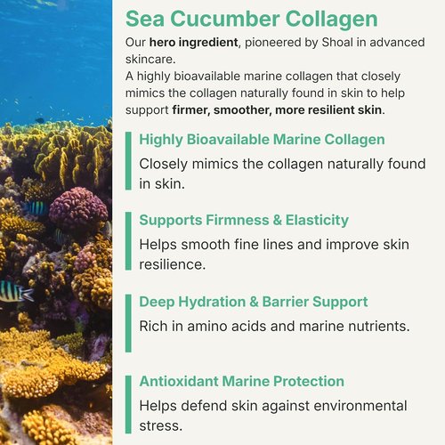 Shoal Sea Cucumber Collagen Serum - Firming & Hydrating Anti-Aging Formula with Peptides & Hyaluronic Acid | 30ml (1 fl. oz)