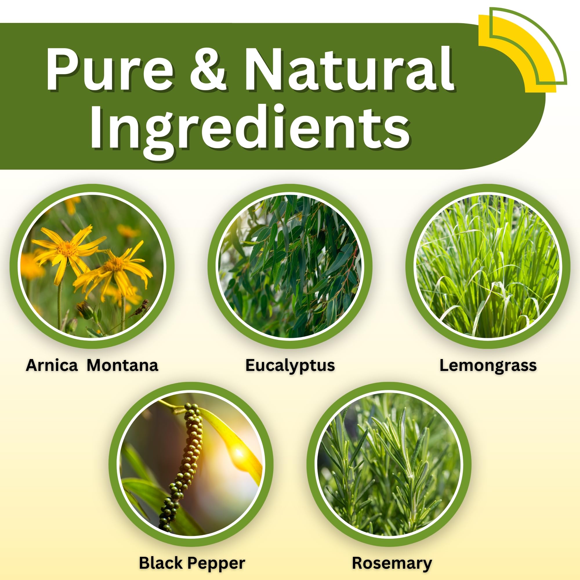 Brookethorne Naturals Arnica Cream | Botanical Massage Lotion for Massage Therapy with Arnica Montana, Lemongrass & Eucalyptus Essential Oils | for Post-Workout Massage & Active Lifestyles — 2 Pack
