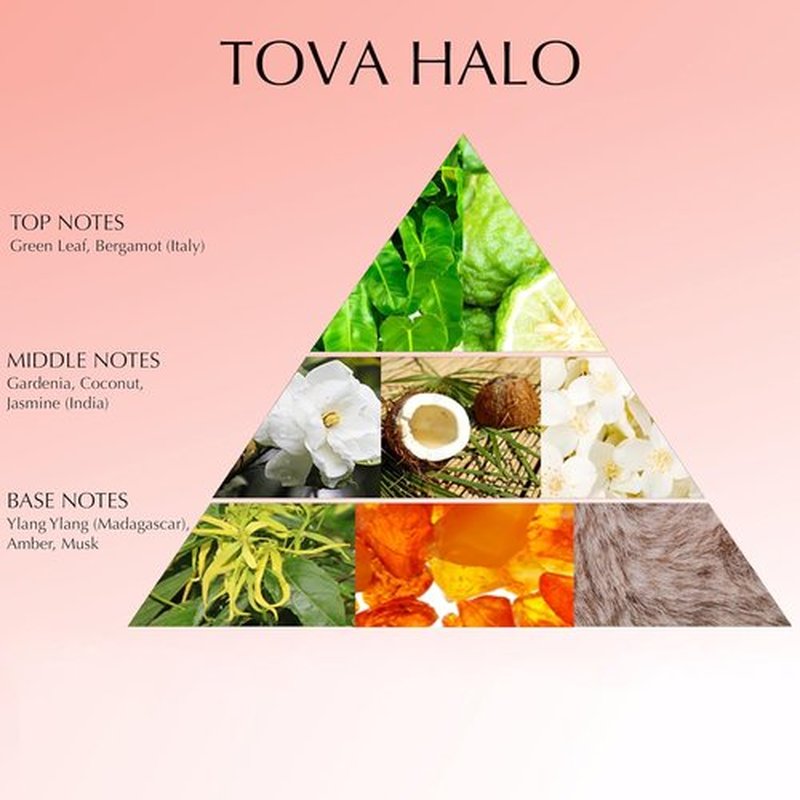 Tova Halo Eau de Parfum - Floral Gourmand Women's Perfume with Jasmine, Coconut & Amber - 3.4 fl oz