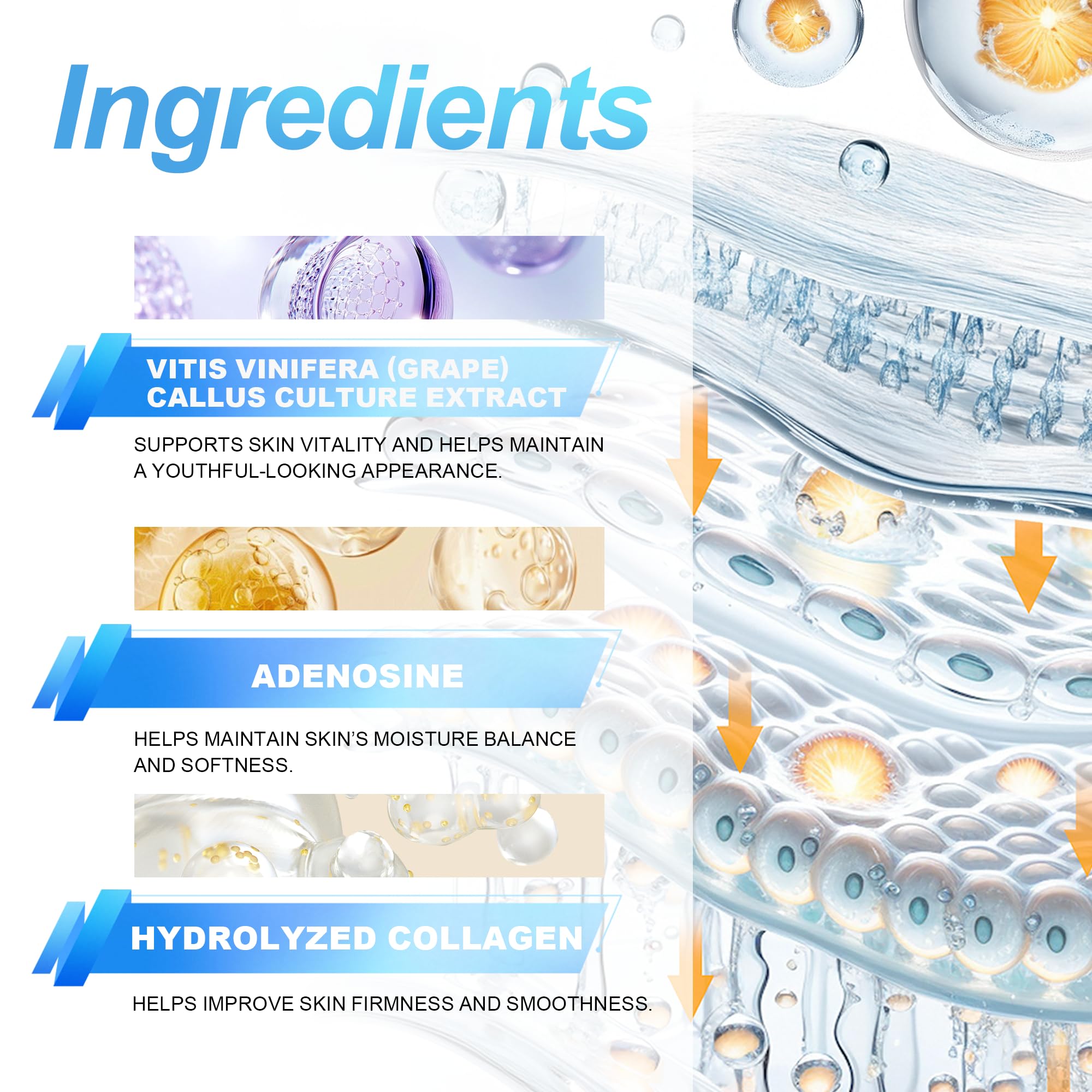 Stem Cell Serum for Face