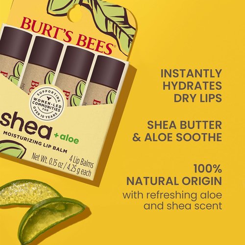 Burt's Bees Lip Balm - Shea & Aloe Moisturizer with Natural Beeswax | Tint-Free, 4 Tubes, 0.15 oz