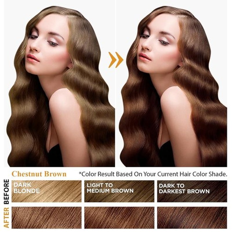 Regine Switzerland Chestnut Brown Hair Dye Shampoo - 3-in-1 Instant Color & Gray Coverage, 16.9 Fl Oz
