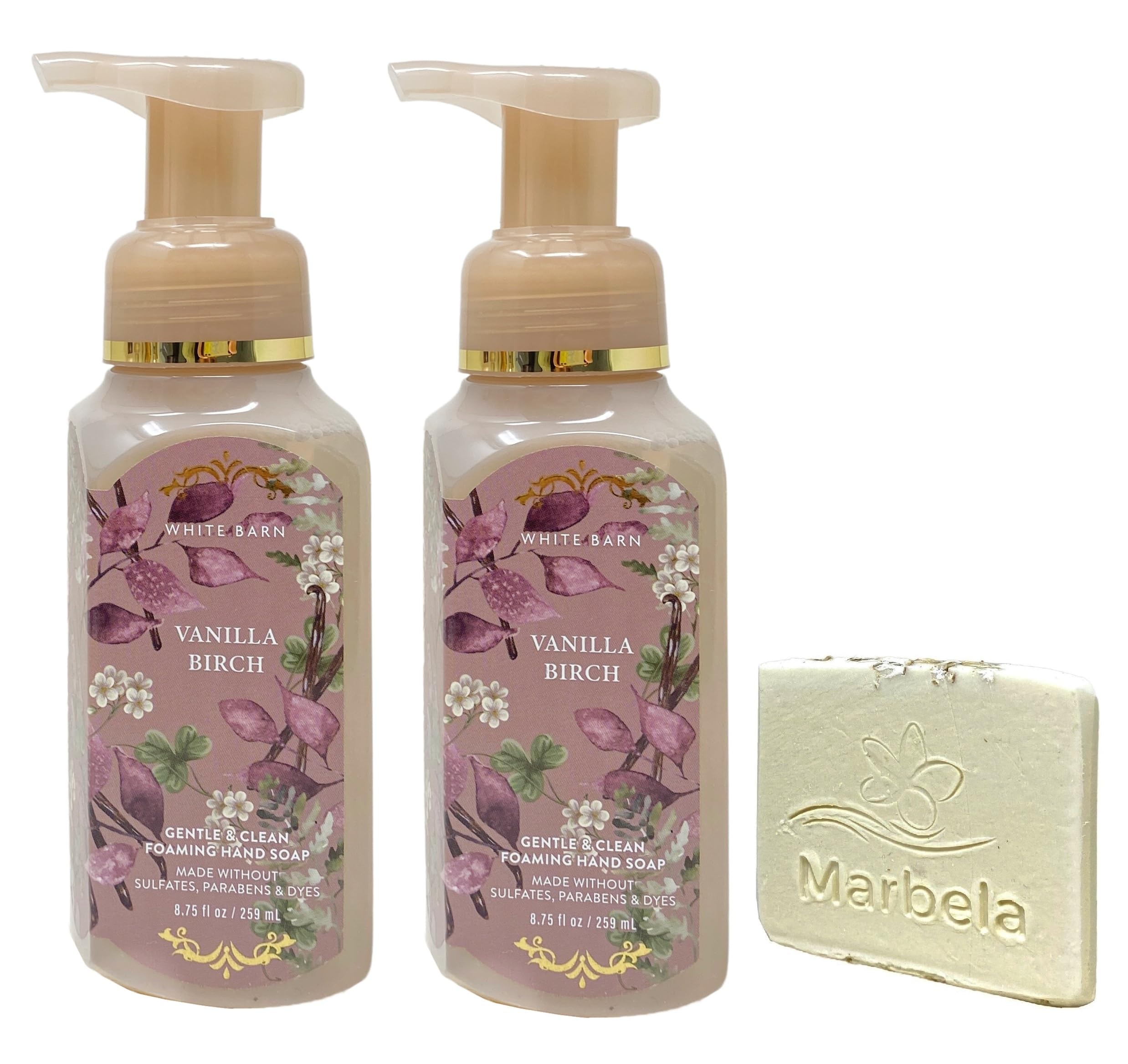 Bath & Body Works Vanilla Birch 2-Pack Gentle & Clean Foaming Hand Soap Bundle with a Natural Oats Sample Soap