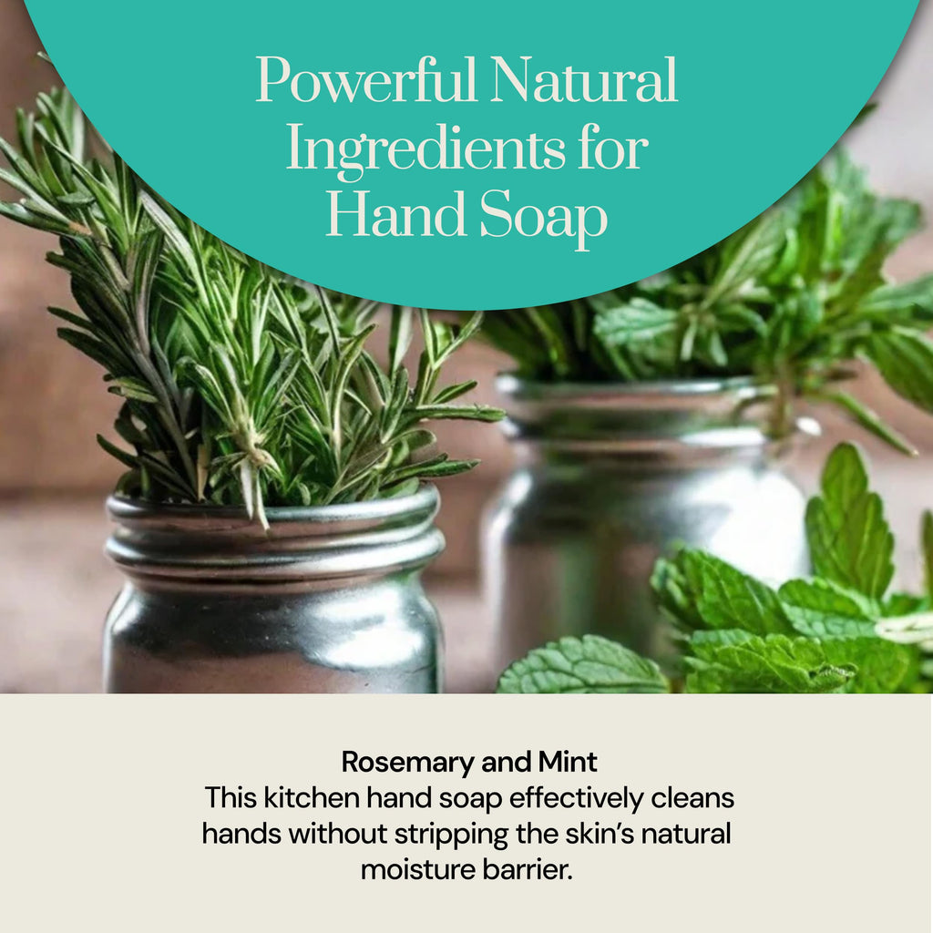 Soapstones Olive Oil Foaming Hand Soap - Elements - 250 mL - Moisturizing, Soft and Hydrating Formula in a Refillable Bottle - Rosemary and Mint Infused Foam Hand Soap