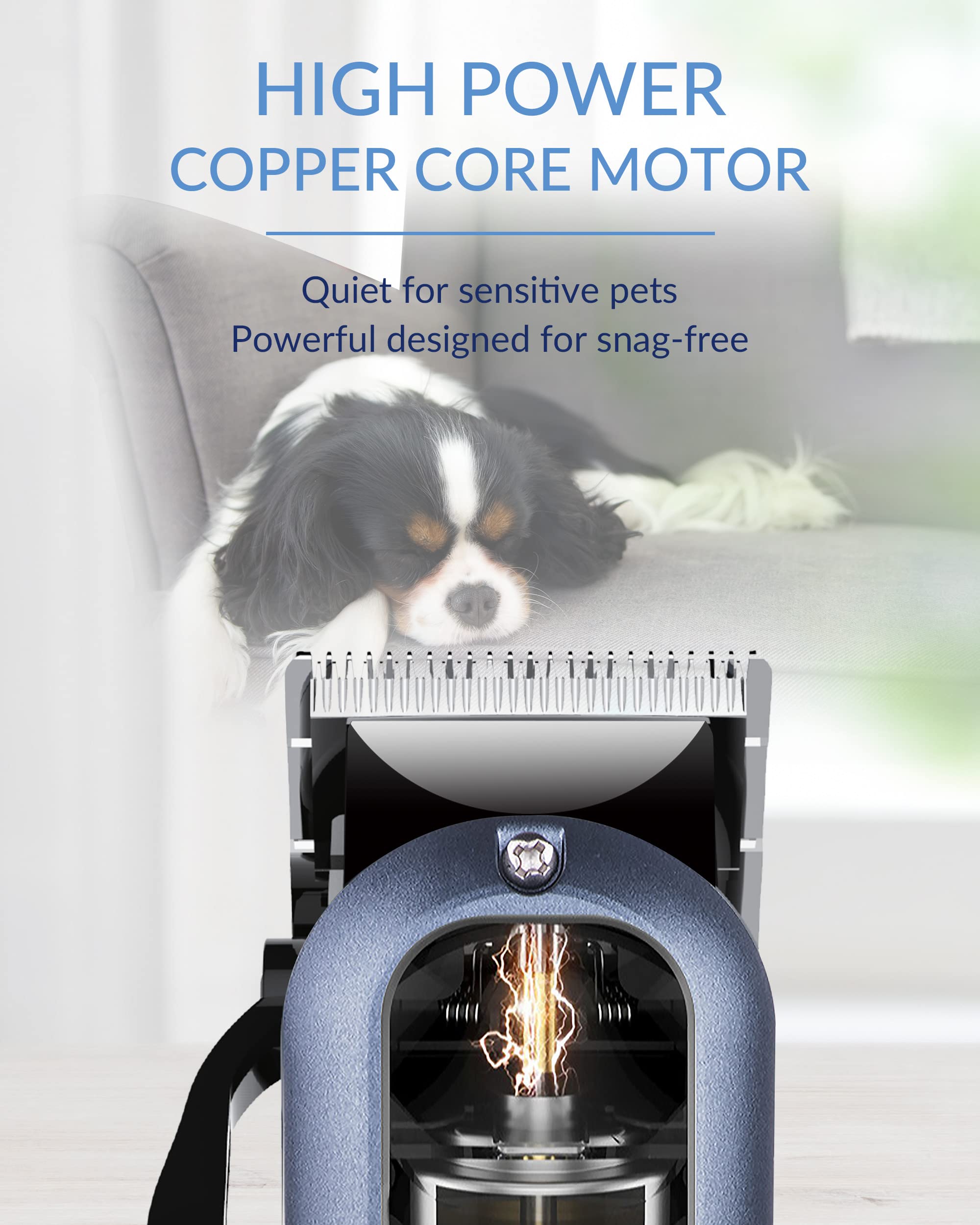 Dog Clippers for Grooming with 12V High Power Plug-in for Thick Heavy Coats Quiet, Pet Electric Professional Hair Grooming Clippers kit with 10 Metal Guard Combs Brush for Dogs Cats Pets (Navy)