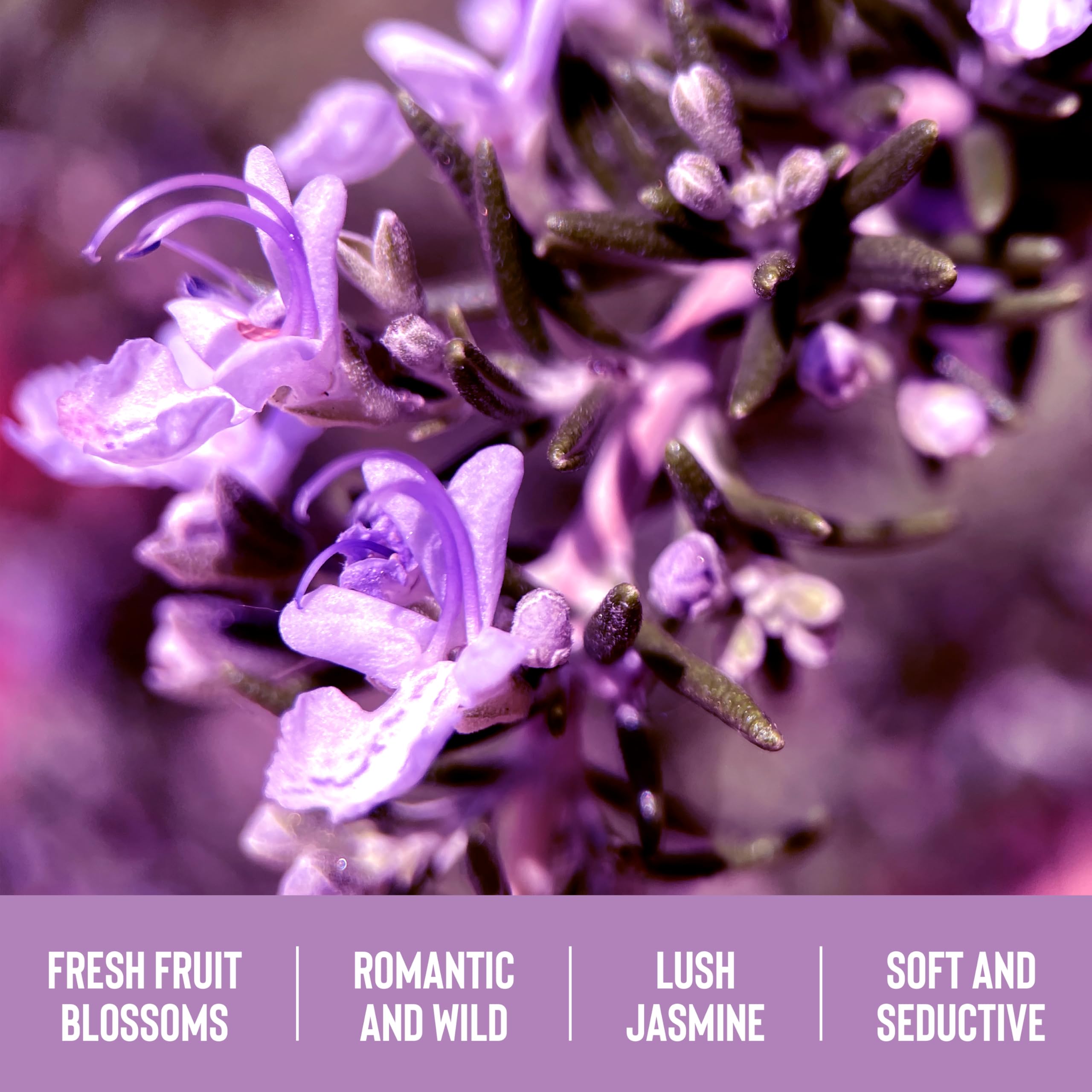 Coochy Fragrance Mist - Hair and Body Mist Spray for Women - Infused with Acai Berries & Sweet Mangosteen - Island Paradise - 4 fl oz
