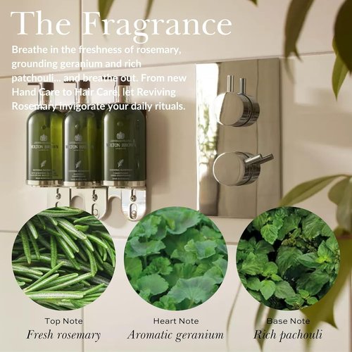 Molton Brown Reviving Rosemary Bath & Shower Oil-In-Gel | 10 Fl. Oz. for Invigorating Cleanse