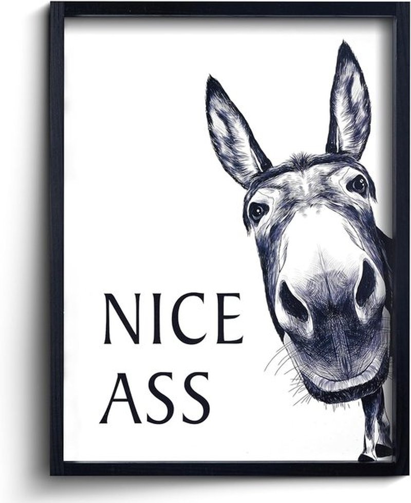 HKBS Framed Bathroom Wall Art - Funny Donkey Decor Sign | Vintage Farmhouse Design (14" L x 11" W)