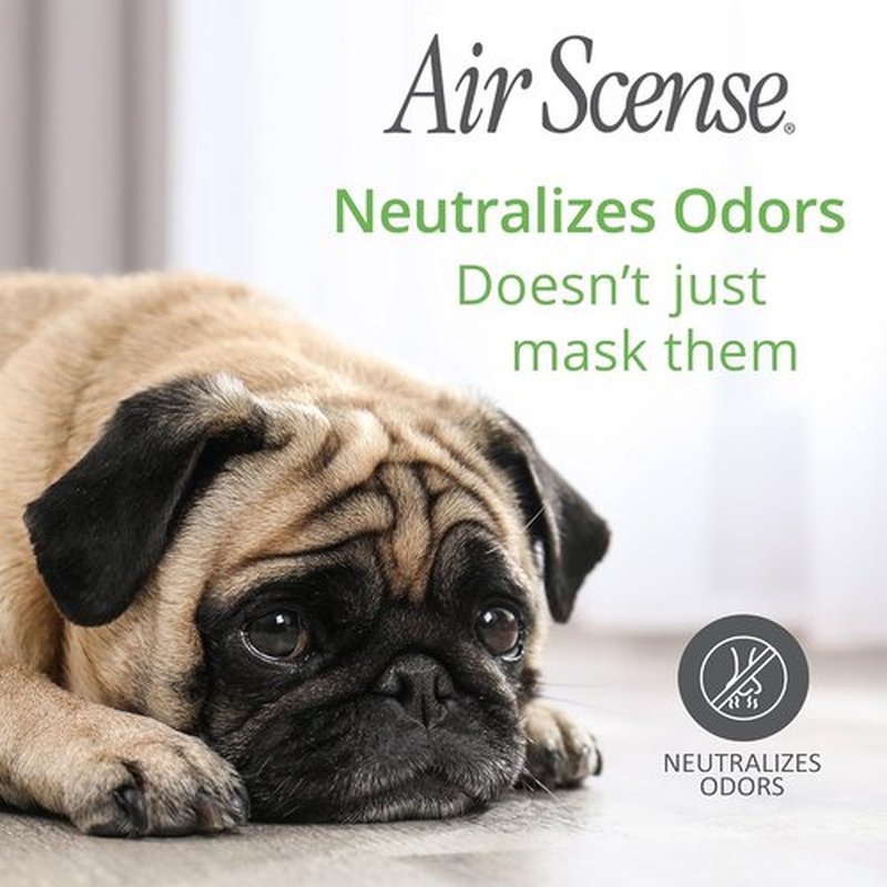 Air Scense Air Freshener - Natural Orange Essential Oil Room Spray | 7 fl oz (2-Pack) for Home & Bathroom