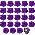 Batiyeer 24 Pcs Flower Hair Clips Rose Brooch Floral Hairpins 2.8" Flowers Hair Clips Headpieces Accessories for Flamenco Dancer Women Bridal Bridesmaid Wedding Party Violet Day Irish Festival(Purple)