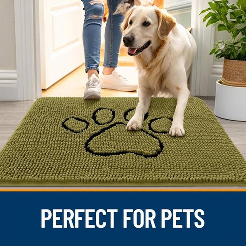 OLANLY Dog Door Mat - Absorbent Muddy Paws Doormat | Non-Slip Chenille, 36x24, Willow Green
