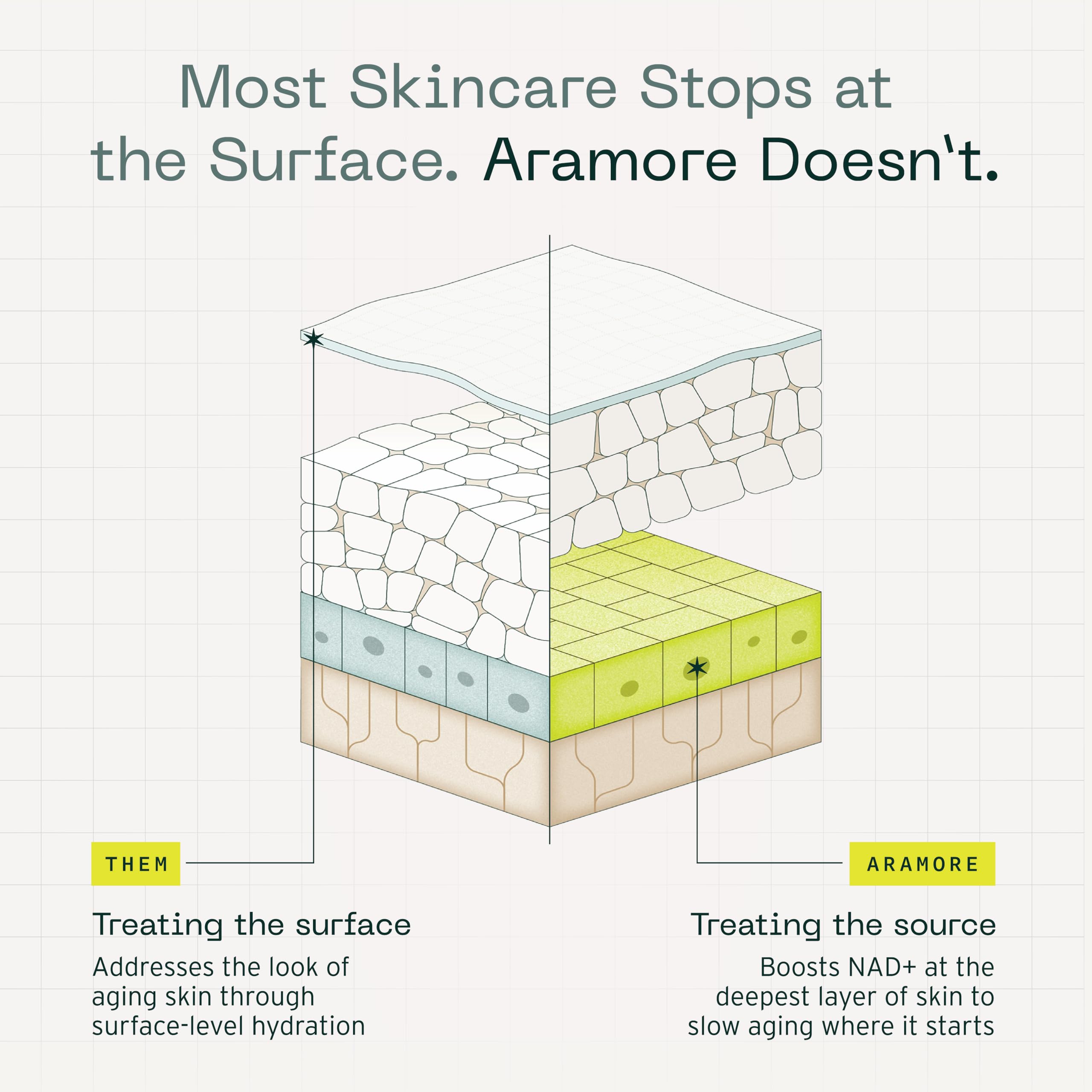 Aramore NAD+ Cell Energizing Skin Care Treatment with Proprietary NAD+ Precursor Complex, Clinically Proven to Target 12 Signs of Aging - 50ml