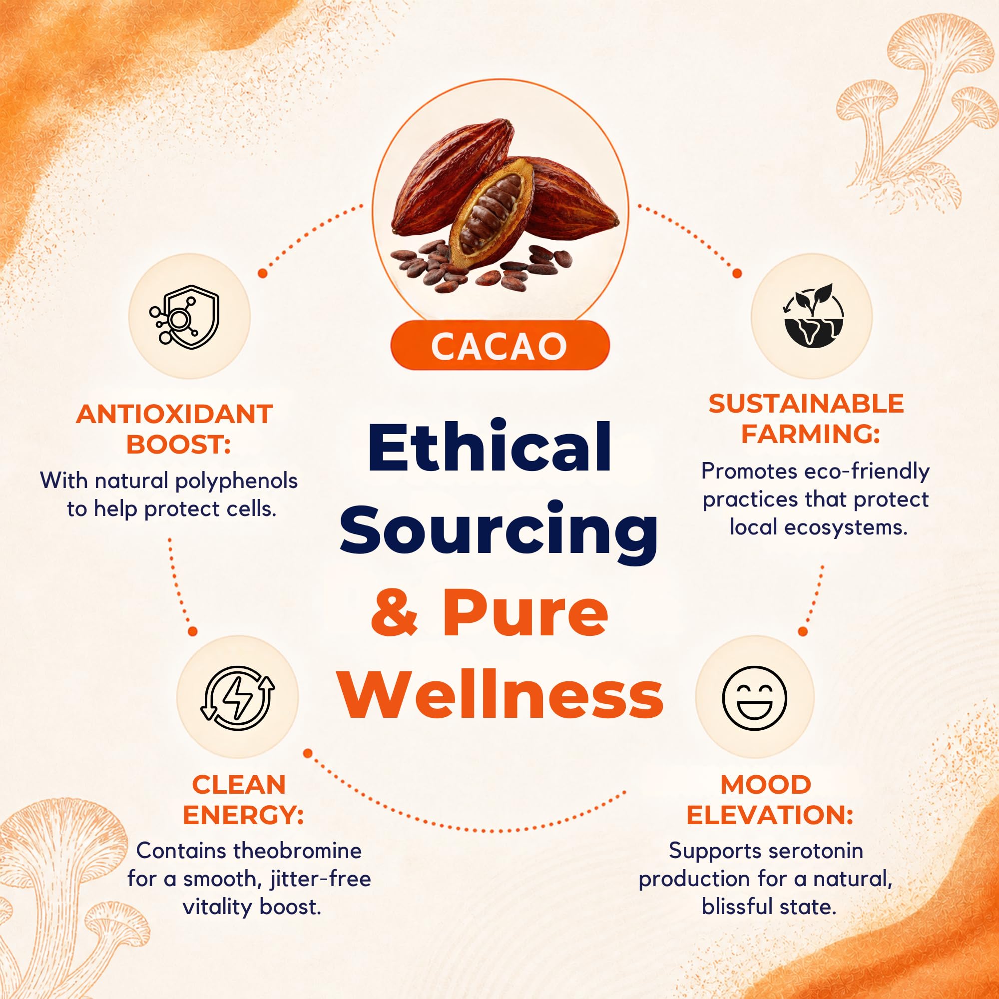 Malama Organic Mushroom Hot Cacao Mix, Lion's Mane Mushroom Powder with Fair Trade Cacao for Focus, Memory, & Immune Support – Vegan Superfood, Non GMO, 3.5 oz (50 Servings)