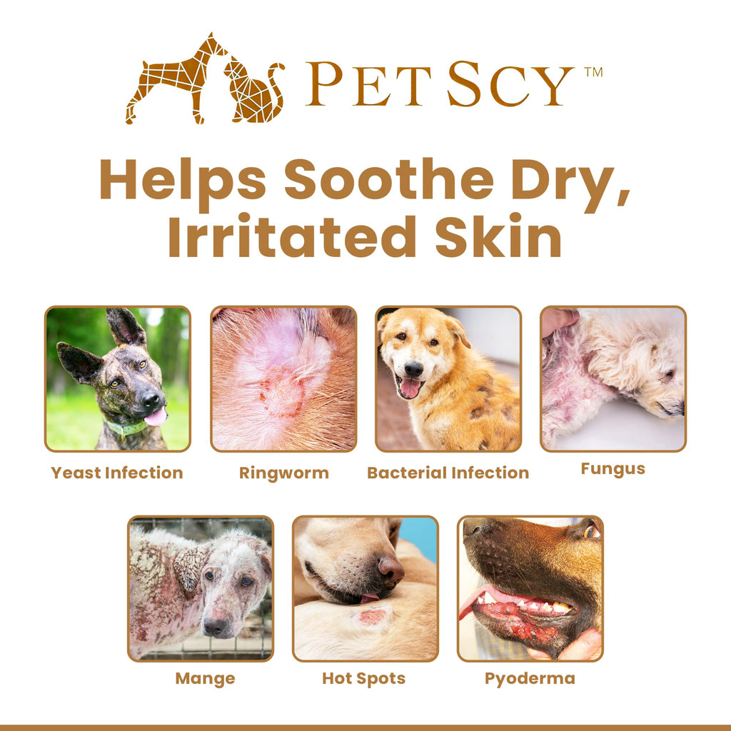 Petscy Keto Skin Relief Mousse for Dogs & Cats – 2% Chlorhexidine & 1% Ketoconazole – No-Rinse, Non-Greasy Mousse for Itchy, Dry, or Irritated Skin – Soothing Aloe, Easy Application - 7 fl oz
