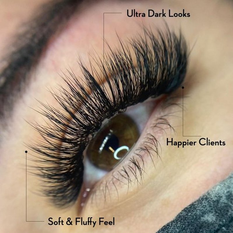 One V Salon, 500 Loose Professional Use Premade Fans Eyelash Extensions,C Curl Volume Lashes,10D 20D 14D-0.05 Thickness,9-16mm Fluffy Handmade Fan Mixed Tray