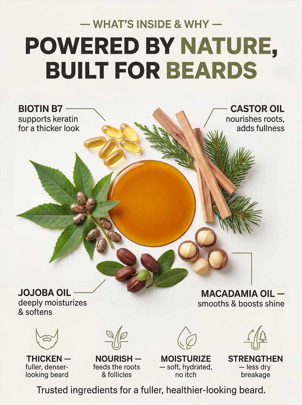 FEBOTE Patchy Beard Growth Kit for Men - Thickening Spray with Biotin & Castor Oil + Derma Roller - Cedar Beard Serum for Thicker Fuller Facial Hair - Natural Grooming Gift Set for Him