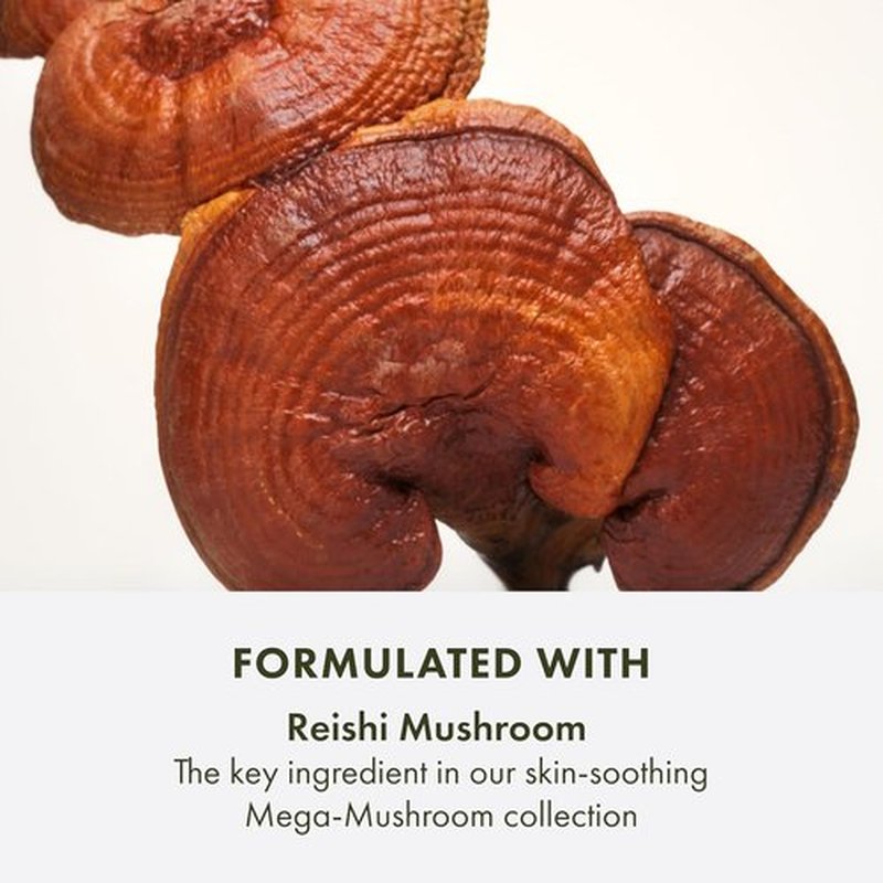 Origins Mega-Mushroom Micellar Cleanser - Gentle Formula for Sensitive Skin | Infused with Reishi Mushroom, 6.7 Fl Oz