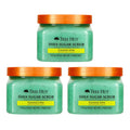 Tree Hut Shea Sugar Scrub, Coconut Lime, 18 Ounce (Pack of 3)