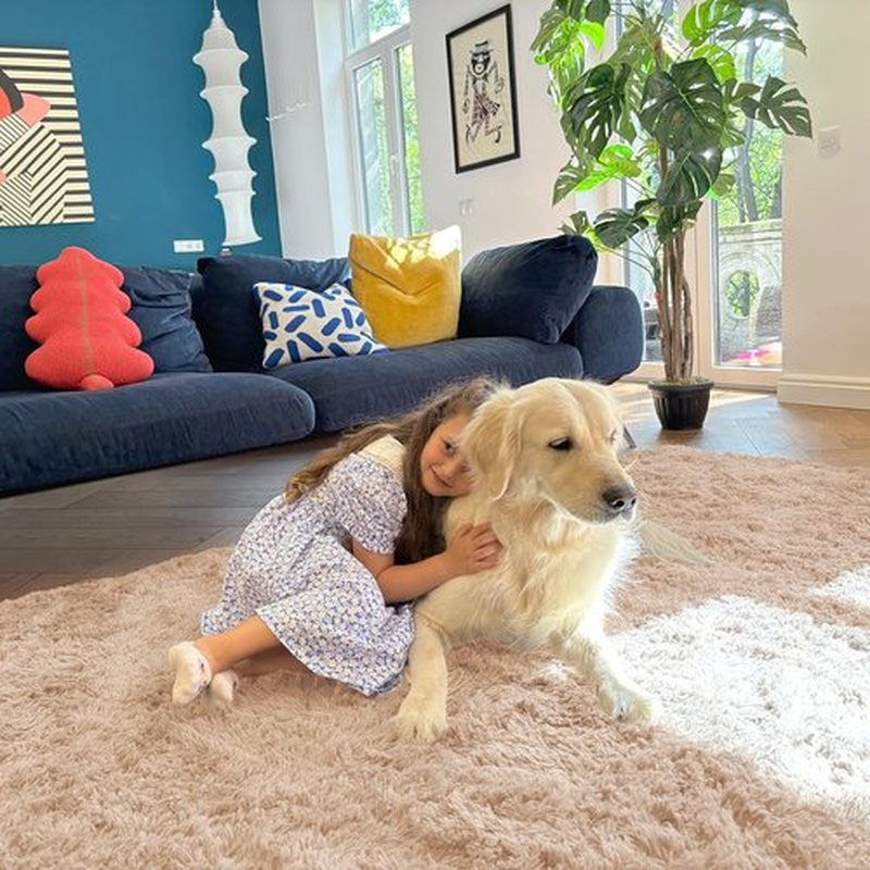 OLANLY Area Rugs - Soft Fluffy Shaggy Indoor Carpet for Living Room & Bedroom | Machine Washable 4x5.9 ft in Beige