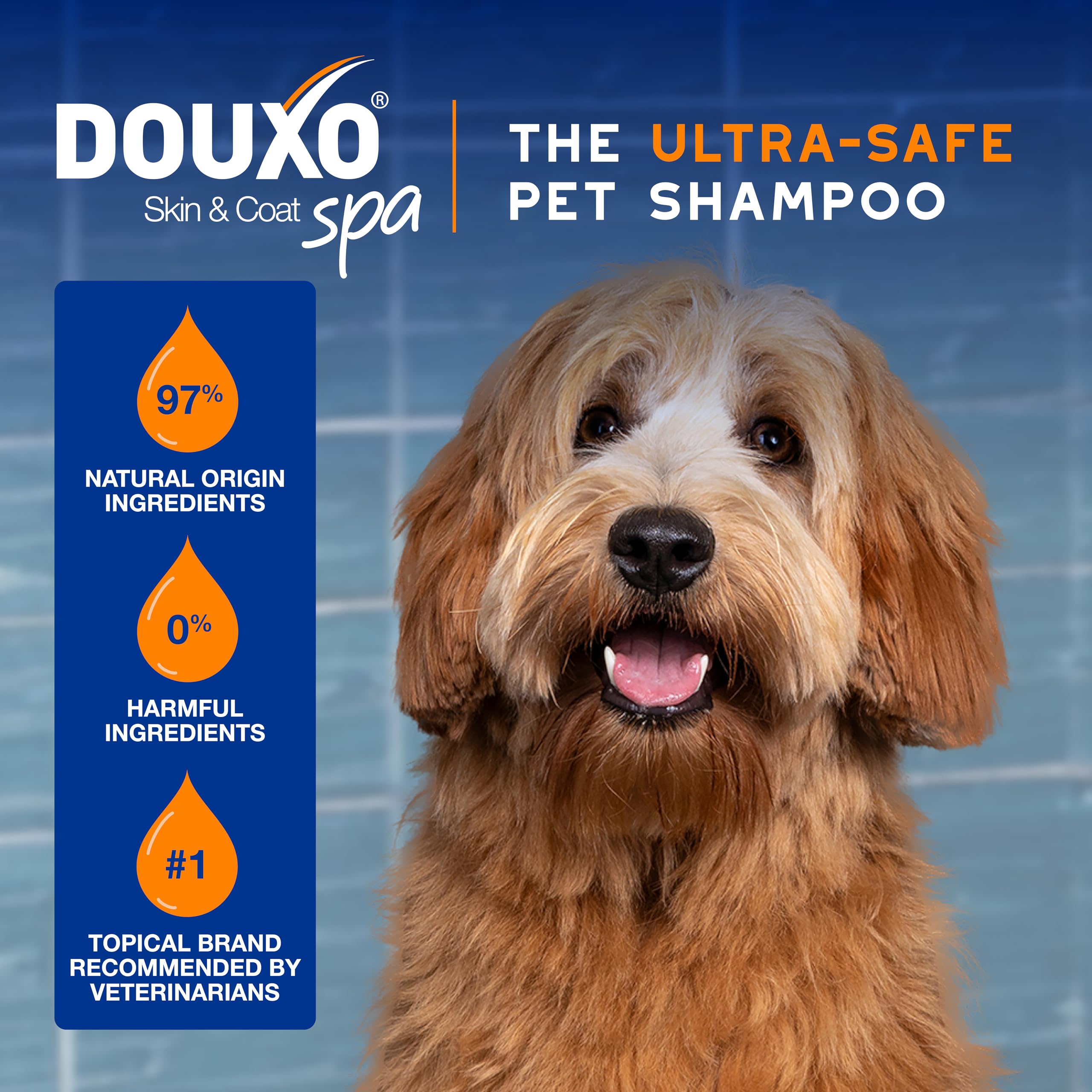 DOUXO SPA Dog Detangler Spray, 10 fl oz, Safely Detangles, Revives, and Nourishes the Coat, Skin-Friendly Formula