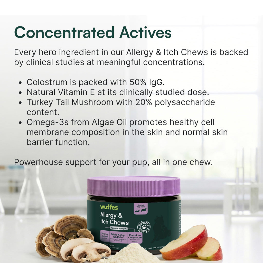 Wuffes Allergy & Itch Chews for Dogs, 60 ct