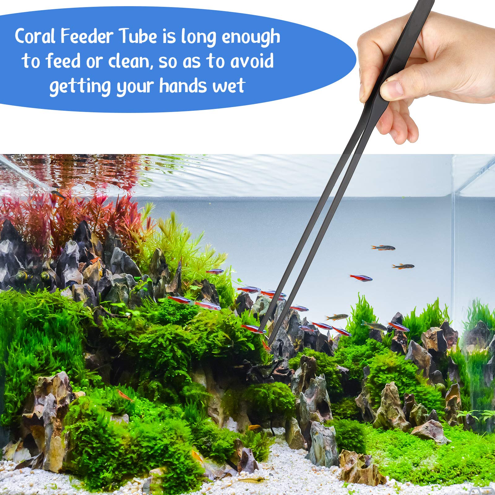 Weewooday 3 Pieces Axolotl Tank Accessories, Extra Long Tweezers for Aquarium, Coral Feeder Long Syringe, Fish Feeding Tongs Tweezers for Reef Roids Aquatic Plant Spider Snake Lizard