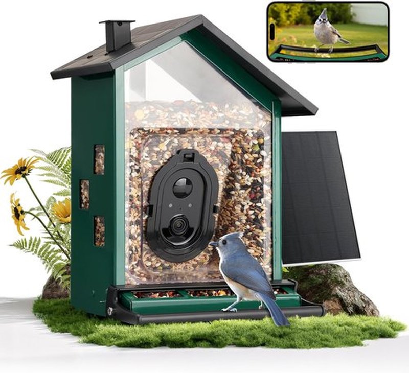 TT Nature Smart Bird Feeder - Solar-Powered Camera with AI Bird Identification & Squirrel-Proof Design | 3.2L Capacity, Green