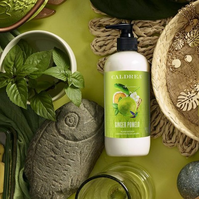 Caldrea Hand Lotion, For Dry Hands, Made with Shea Butter, Aloe Vera, and Glycerin and Other Thoughtfully Chosen Ingredients, Ginger Pomelo Scent, 10.8 oz