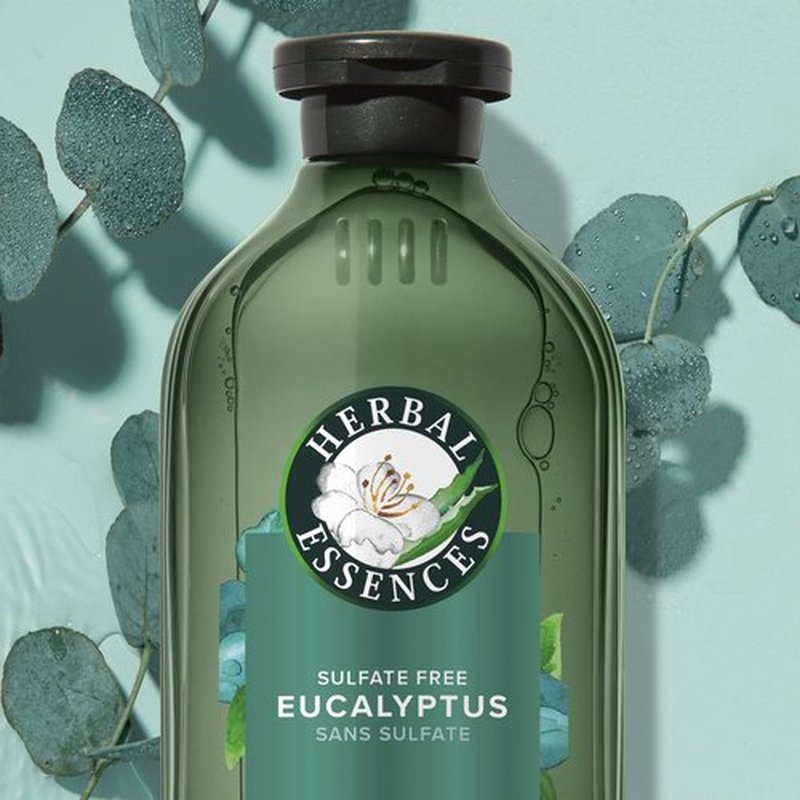 Herbal Essences Eucalyptus Sulfate Free Shampoo, Scalp Balance, 13.5 Fl Oz, with Certified Camellia Oil and Aloe Vera, For All Hair Types, Especially Dry Scalp