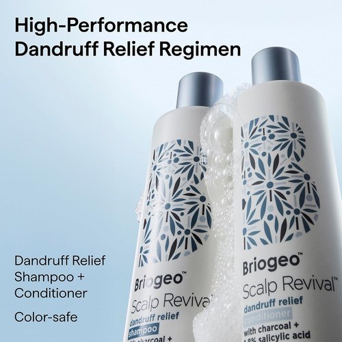 Briogeo Scalp Revival Dandruff Relief Shampoo - Charcoal & 3% Salicylic Acid | Daily Anti-Dandruff Care | 8.4 fl oz