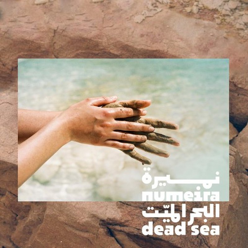 Numeira Dead Sea Mud Powder 100% Pure Cosmetic Clay Powder Rich in Minerals - Gentle Face Exfoliator Powder for Deep Cleansing, Body Scrub, or Clay Mud Mask - Pore Cleansing & Skin Detox - 1kg