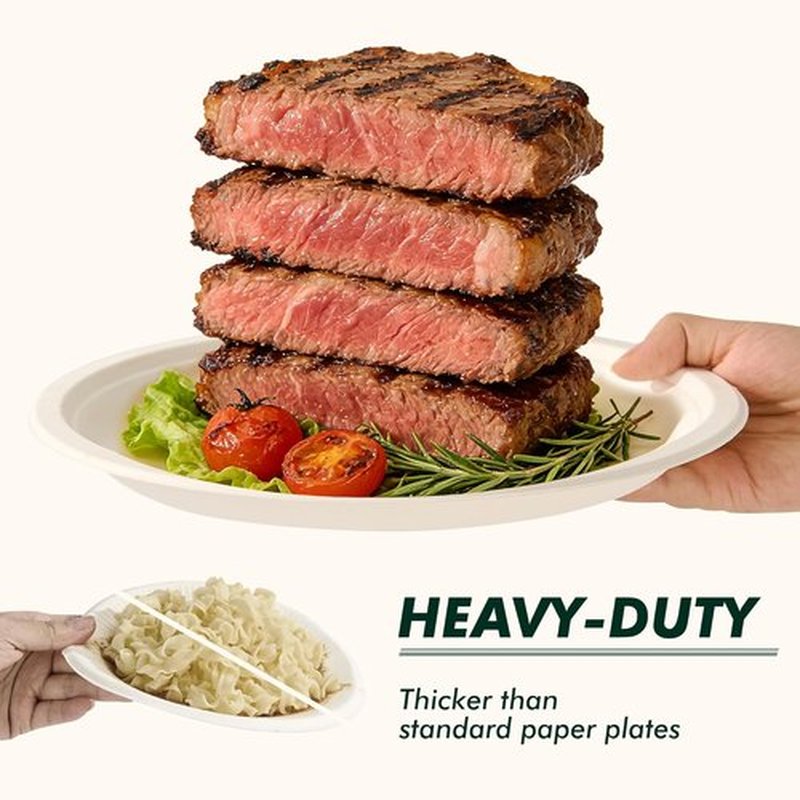 Regine Switzerland Heavy-Duty Compostable Paper Plates - 10 Inch, 125 Count, Eco-Friendly & Microwavable
