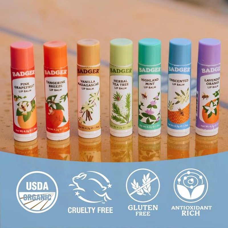 Badger Classic Organic Lip Balm Set - All-Natural Moisturizer Variety Pack | 4 Long-Lasting Balms (Unscented, Tea Tree, Mint & Tangerine)