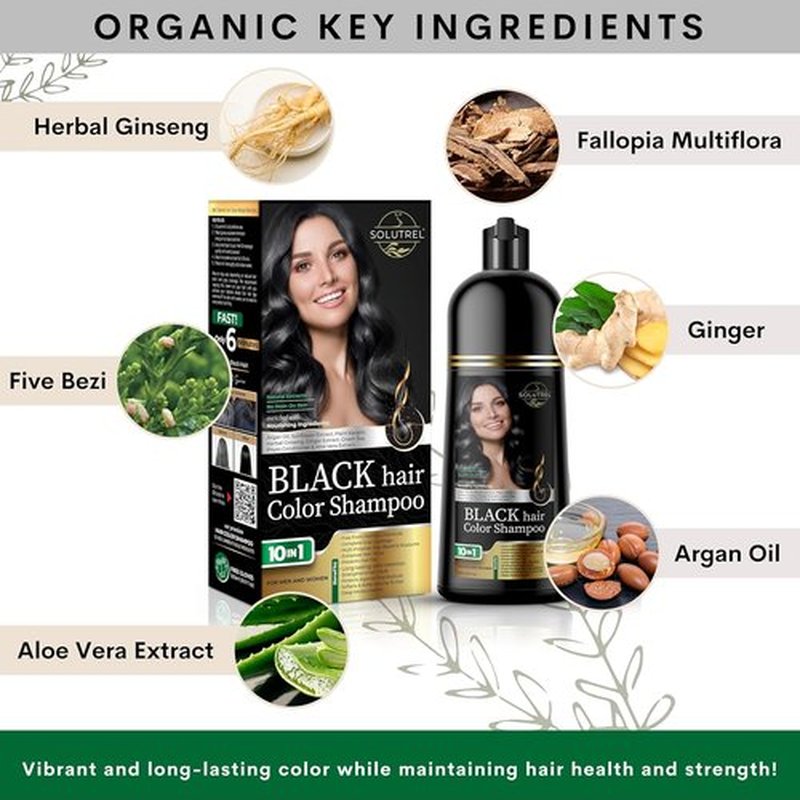 Regine Switzerland Black Hair Dye Shampoo - Ammonia-Free Gray Coverage in Minutes - 10-in-1 Herbal Formula for All