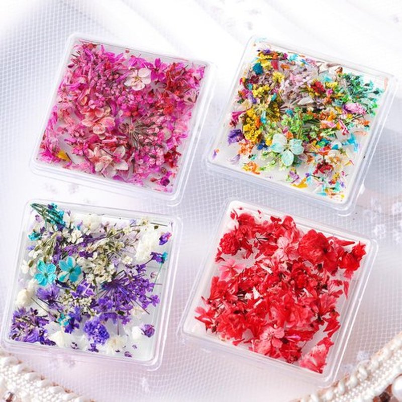 JERCLITY 4 Boxes Real Dried Flowers for Nail Art - Mini Red Pink Purple Gypsophila Stickers Decals Natural Dry Accessories for Women