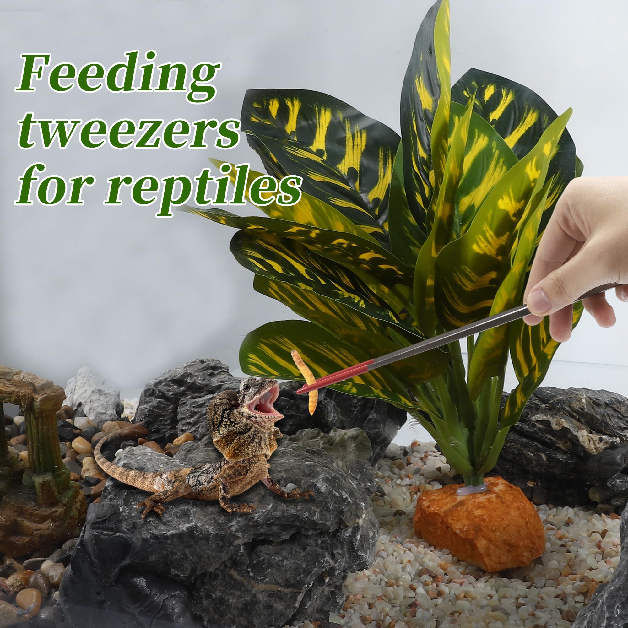 CAPASTEC Reptile Feeding Tongs, Stainless Steel Lizard Feeding Tongs, Aquarium Straight Feeding Tweezers for Reptiles with Rubber Tip, Terrarium Feeding Tongs for Gecko, 10.63" Length, Red
