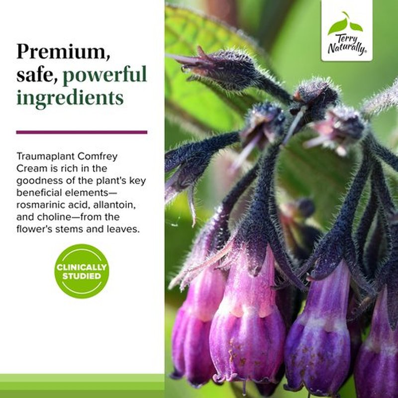 Terry Naturally Traumaplant Comfrey Cream - Non-Staining Herbal Cream - Clinically Studied and Free of Pyrrolizidine Alkaloids - for External Use Only - 1.76 oz (2 Pack)