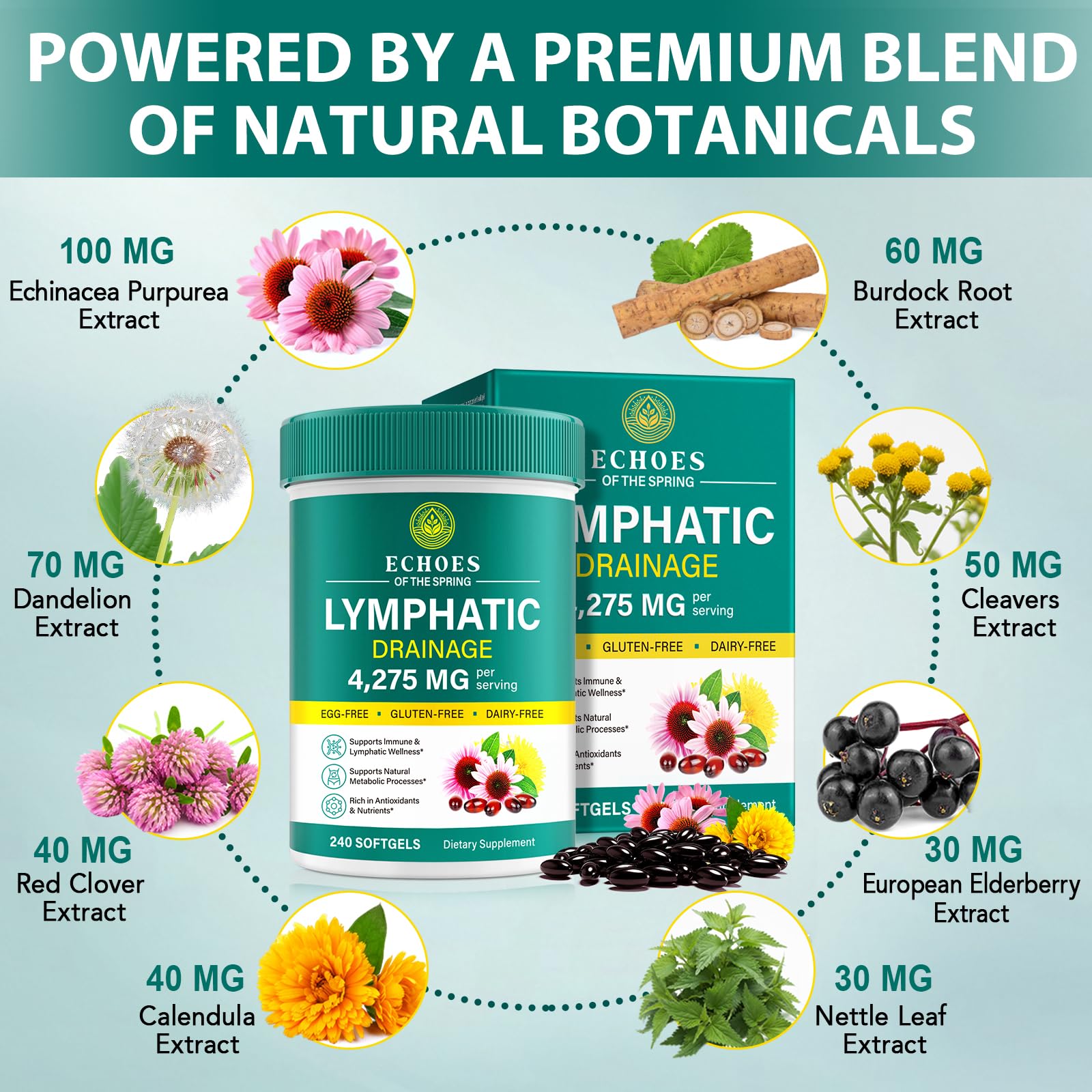 Lymphatic Drainage Supplements, 4275mg Lymph System Support Supplement for Women & Men, Daily Wellness Support, 21-in-1 Herbal Blend with Echinacea, Dandelion, Burdock, Turmeric & More, 240 Softgels