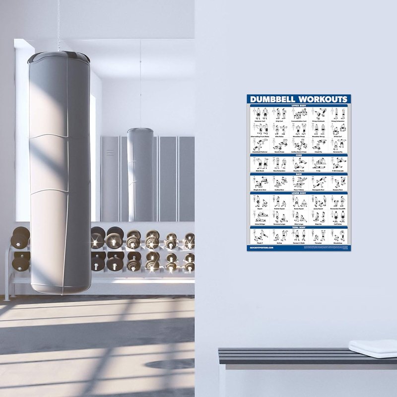 4 Pack - Cable Machine Workout Posters | Laminated 18" x 24" with Dumbbell & Barbell Exercises