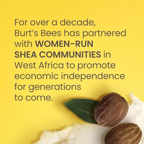 Burt's Bees Lip Balm - Shea & Aloe Moisturizer with Natural Beeswax | Tint-Free, 4 Tubes, 0.15 oz