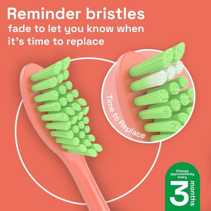 Brushmo Replacement Toothbrush Heads - Compatible with Philips One Sonicare | 4 Soft Dupont Bristle Heads in Miami Coral