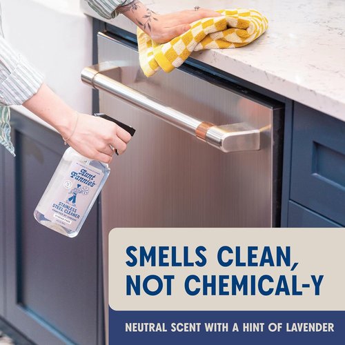 Aunt Fannie's Stainless Steel Cleaner - Vinegar-Powered Fingerprint & Residue Remover | 1 Pack