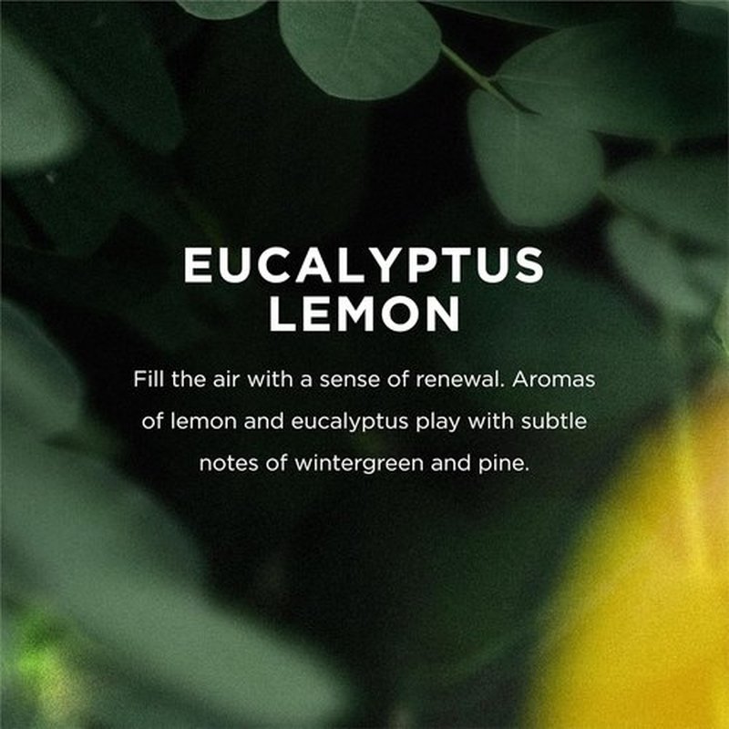 Eo Bubble Bath - Eucalyptus Lemon Scent for Relaxation | 12 Fl Oz
