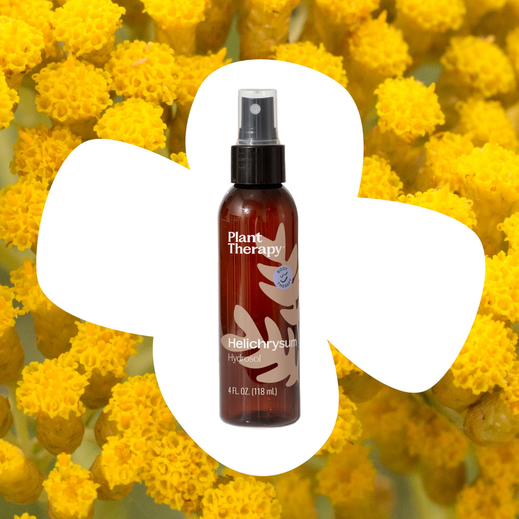 Plant Therapy Helichrysum Hydrosol 4 oz (Flower Water) By-Product of Essential Oils