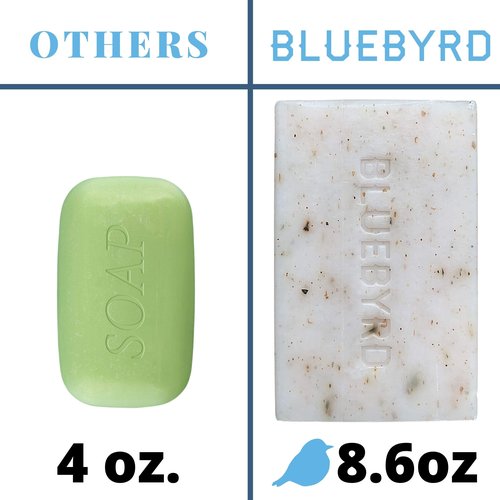 BLUEBYRD Soap Co. Eucalyptus & Seaweed Exfoliating Soap Bar, 100% Vegan Cold Press Large Soap Bars, Scented with Premium Essential Oils, Scrub Soap Bars for Men and Women, Exfoliate Body Naturally with Oatmeal, Shea Butter, Olive Oil, 8.6oz (EUCALYPTUS &