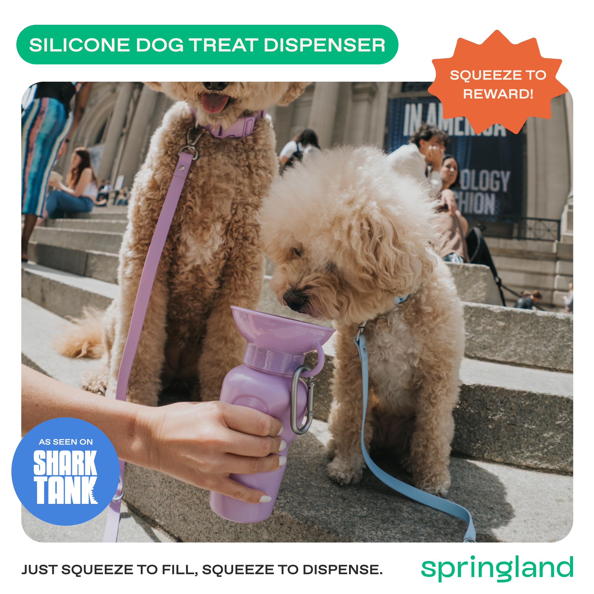 Springer Dog Water Bottle | Portable Travel Drinking Feeder Dispenser for Dogs & Puppies | As Seen on Shark Tank | Leak-Proof Bowl | BPA-Free | Outdoor Walking, Hiking & Travel | 22oz Lilac