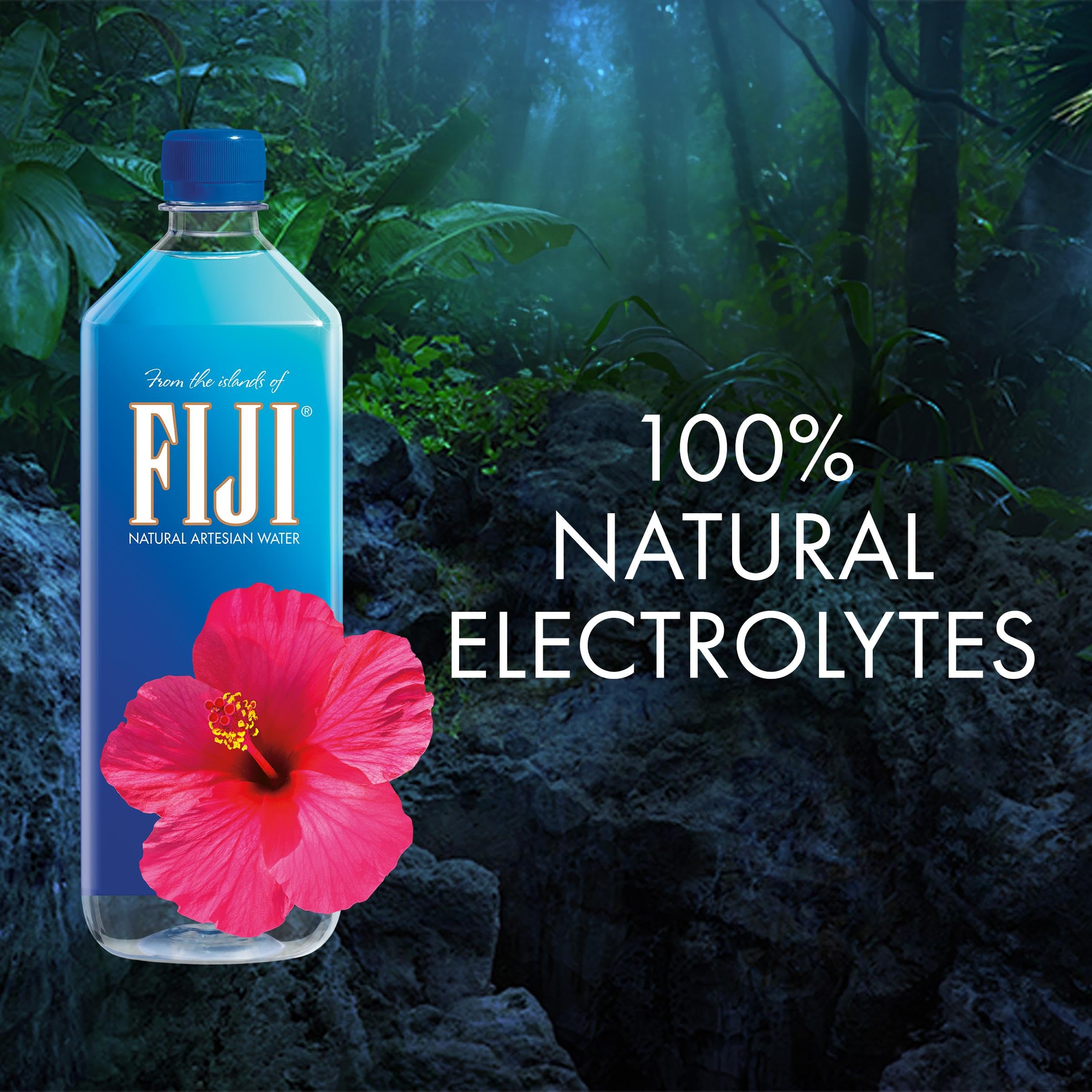 FIJI Natural Artesian Bottled Water, 1 Liter / 33.8 Fl Oz (Pack of 12)