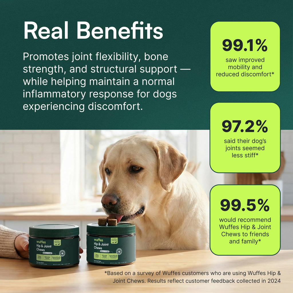 Wuffes Advanced Dog Hip and Joint Supplement with Glucosamine, Chondroitin, Omega 3, MSM, and Green Lipped Mussel, 30 Pork Flavored Chews for Large Dog Breeds